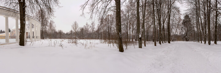 Panorama of the Park with snow passes on the edge of the forest. Raek Village, Tver Oblast, Russia.