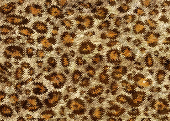 brown and black leopard skin texture