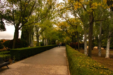 Fototapeta premium Parque antiguo