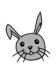 hasen gesicht kopf 