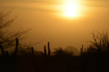Fototapeta premium Por do Sol em Nordestina