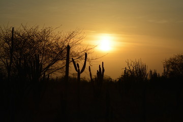 Por do Sol em Nordestina