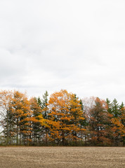 landscape shots