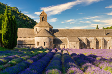The famous Abbaye Notre-Dame de Sénanque with lavender field in the foreground, Provence, France - obrazy, fototapety, plakaty
