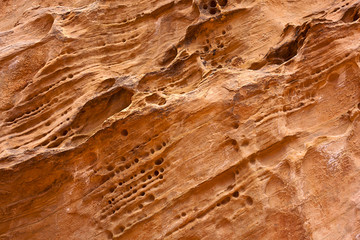 The Gorge Sides, Capitol Reef National Park, Utah