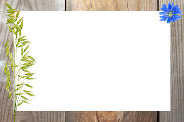 The concept of a summer card. Natural wooden background, white sheet of paper with an ear of oats and a wildflower.