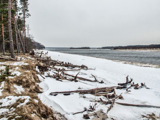 Lielupe coast line debouchment at Baltic sea after storm with fallen trees during freezing winter...