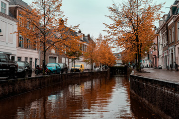 Fototapeta na wymiar beautiful orange-yellow autumn in a city in the Netherlands, reflection of trees in a canal, cars are parked on the sides and are standing at home