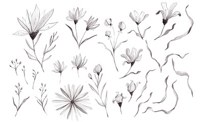 Black White Watercolor Floral Clipart