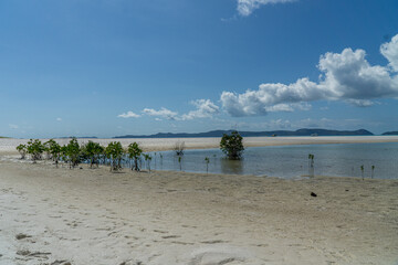 the white beach of the Whitsunday Islands in Australia, which consists of 99 percent quartz sand,...