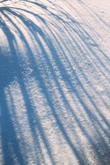 Natural Shadows On White Snowy Snow Surface. Winter Abstract View