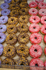 Donuts of different taste. Sale in a bakery