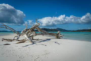 Obraz premium the white beach of the Whitsunday Islands in Australia, which consists of 99 percent quartz sand, and the azure blue sea
