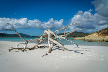the white beach of the Whitsunday Islands in Australia, which consists of 99 percent quartz sand, and the azure blue sea
