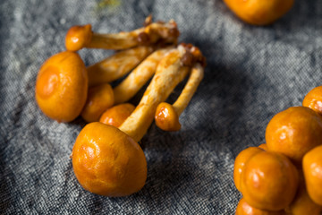 Raw Organic Japanese Nameko Mushrooms