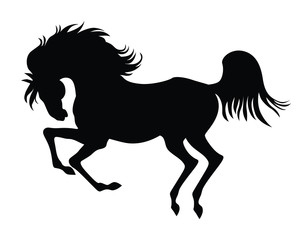 Fototapeta na wymiar silhouette of horse on white background