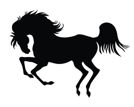 silhouette of horse on white background