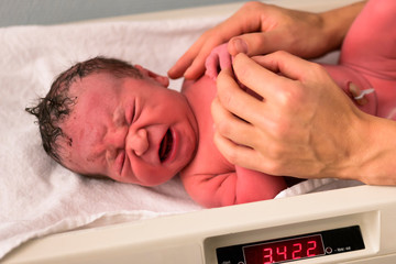 Crying new born baby on a weight, looking directly to the camera - closeup