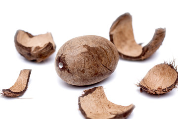 broken coconut on a white background