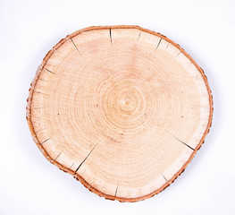 Slice of fresh oak wood on a white background