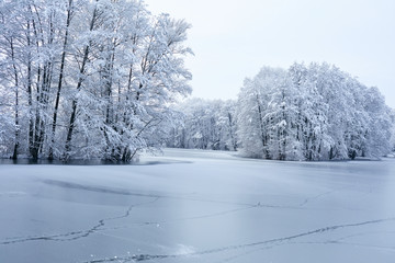 beautiful winter park