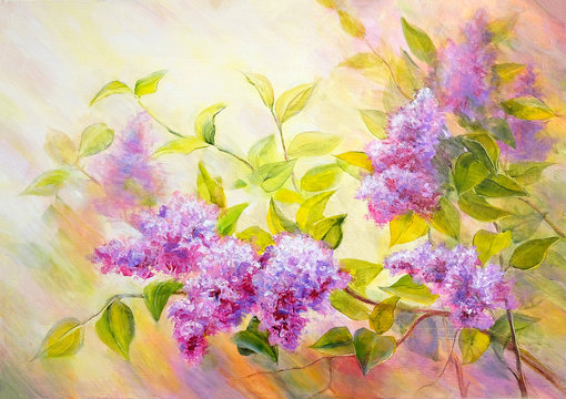 Thickets of lilac bush at sunrise. Oil painting