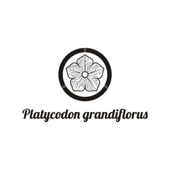 Vintage Black and white Balloon Flower / (Platycodon grandiflorus) with five petals vector. Floral, beauty and nature logo design template. -Vector