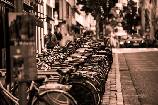 Bikes on a stand