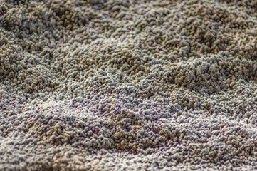 Crystallized salt at the bottom of the lake