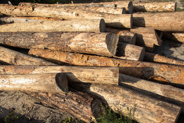 Logs outdoors. Chopped pieces of wood. Logs stacked on each other. Logs, close-up