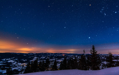 The magical landscape of coniferous forest