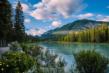 Fototapeta na wymiar Bow River - Banff Alberta, Canada