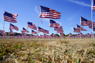Looking up in a field of flags at a park in Plano, Texas