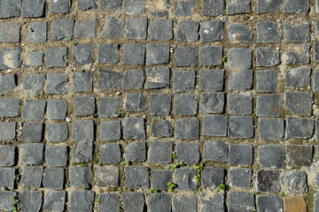 The texture of paving slabs made of natural gray stone of square shape.