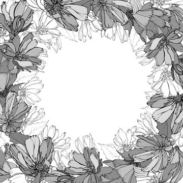 Monochrome floral frame of black and white flowers chicory and leaves. Isolated on a white. Copy space. For your design, greeting cards, invitation. Vector stock illustration.