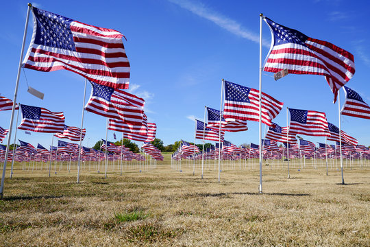Many USA flags at a field in a park in Plano, Texas