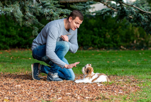 man gives commands to a dog, training a puppy outdoors