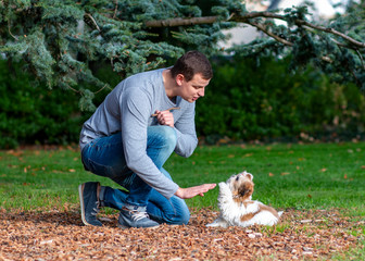 man gives commands to a dog, training a puppy outdoors