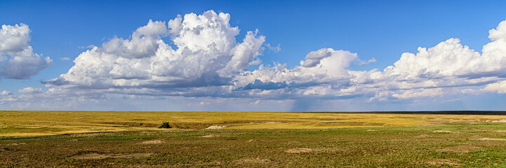 Badland NP Prairie