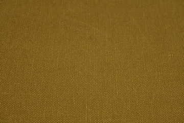 Fototapeta premium Lining texture