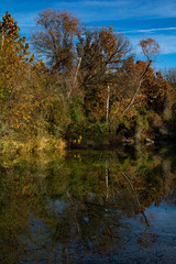 Bull Creek in Austin in autumn fall with leaves turning colourful and tree reflections in the water