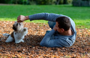 man wallowing in a park on cones with a beautiful puppy interacting with an animal