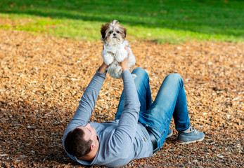 man wallowing in a park on cones with a beautiful puppy interacting with an animal