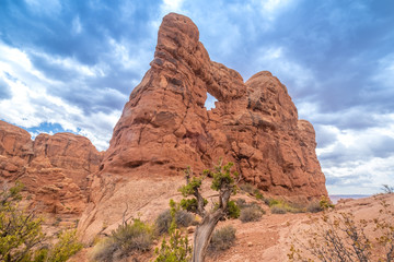 Fototapeta premium The Windows, Arches National Park, adjacent to the Colorado River, Moab, Utah, USA