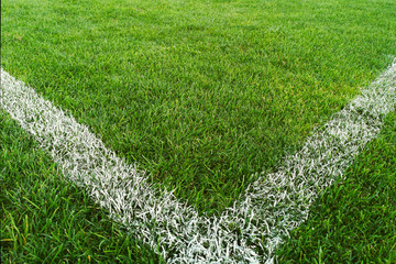 Corner of the soccer field. Football fields corner with white stripe and green grass. Field...
