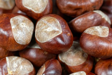 Macro photo of horse chestnuts