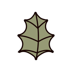 leaf foliage nature botanical icon