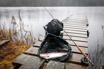 Rainbow trout fishing in Swedish lake