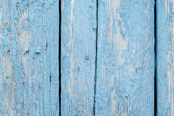 Fototapeta na wymiar Aged painted cracked boards with blue color peeling paint. Old natural grunge textured wooden texture. Weathered wood wall for design closeup. Rustic background