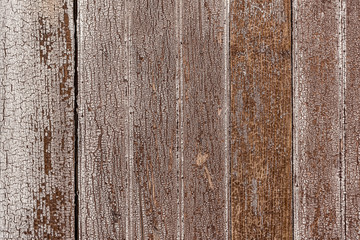 Fototapeta premium texture